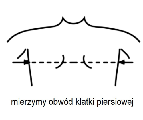 klatka piersiowa.png